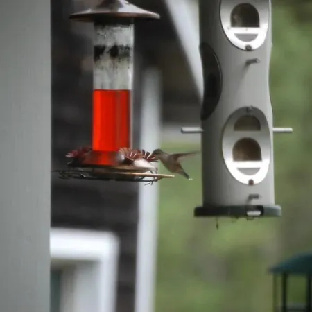 Clary Lake Bed And Breakfast-3